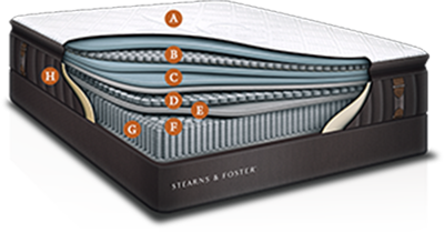 Stearns Cutaway
